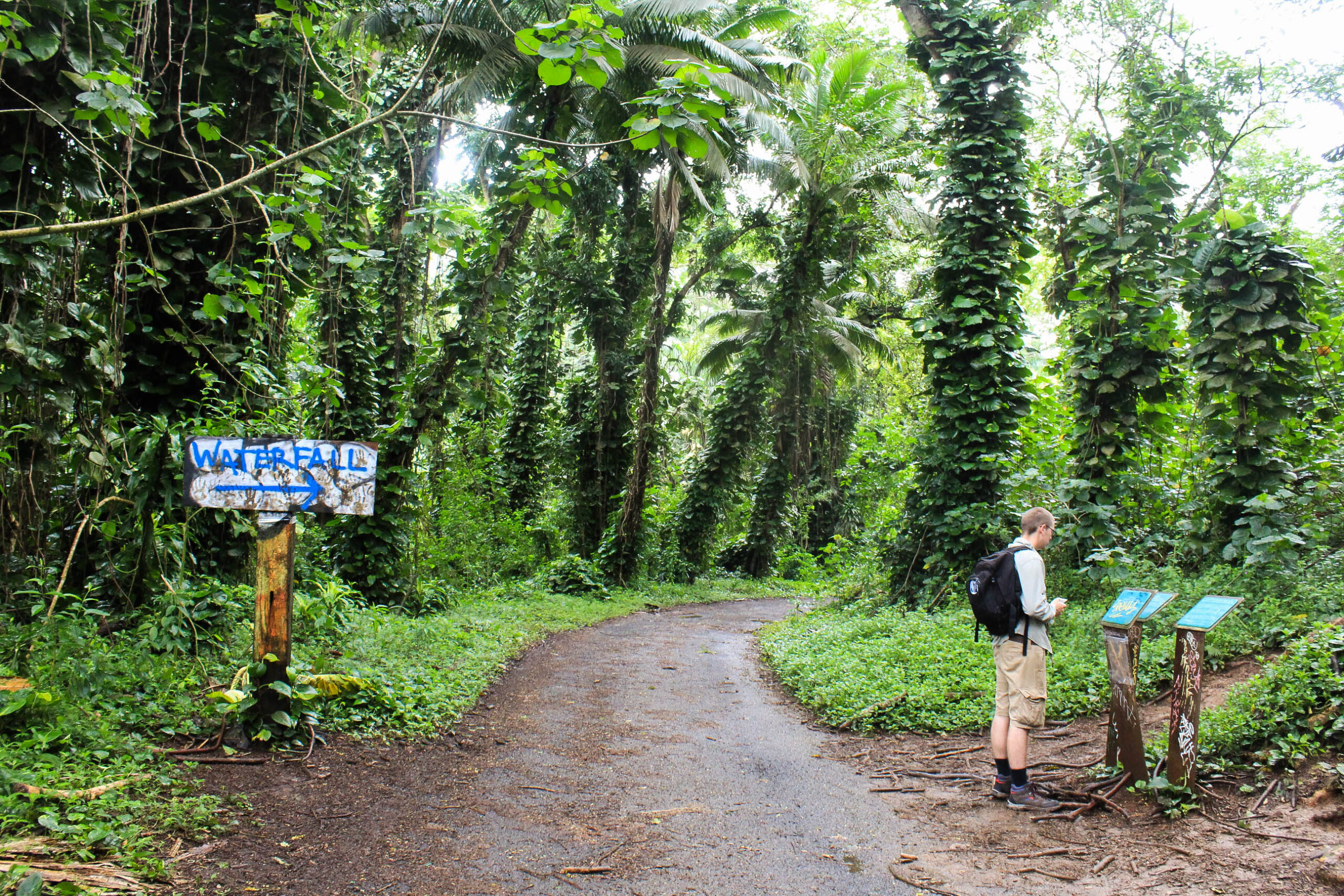 Maunawili Falls - Saving Time in a Bottle