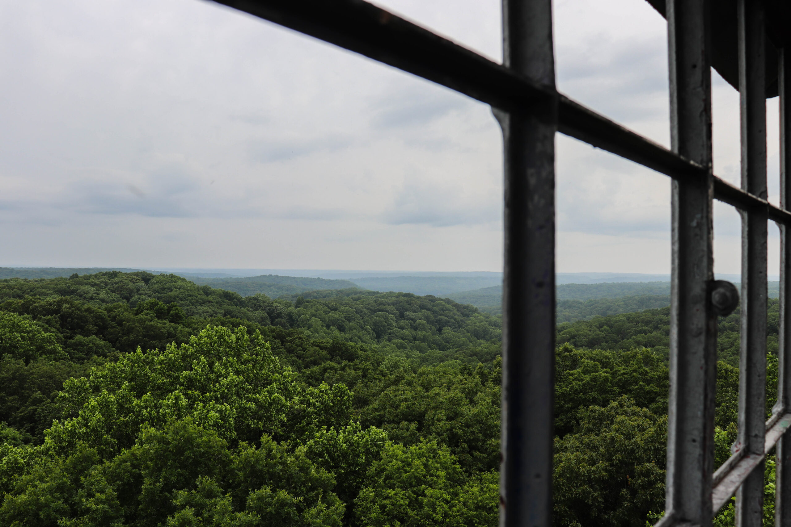 Hoosier National Forest Brown County State Park Saving Time in a Bottle